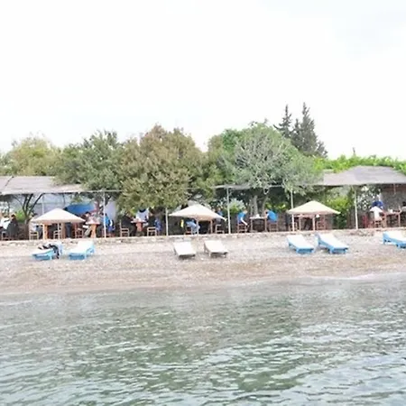 Гостевой дом Sahil *