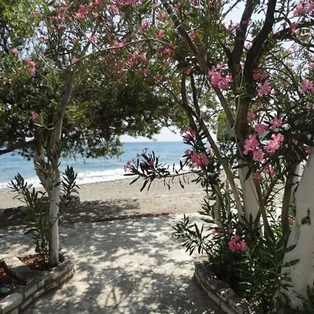 بيت ضيافة Sahil Mazi